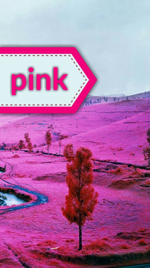 pink