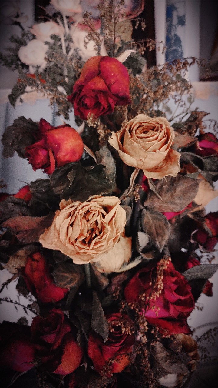 withered flowers