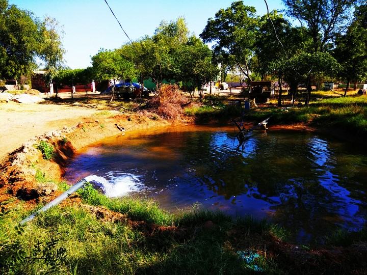 jat ka pool