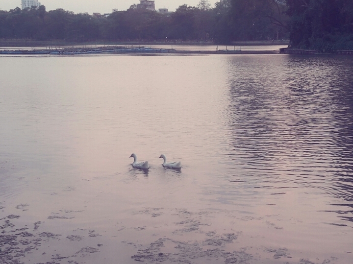beauty of nature
