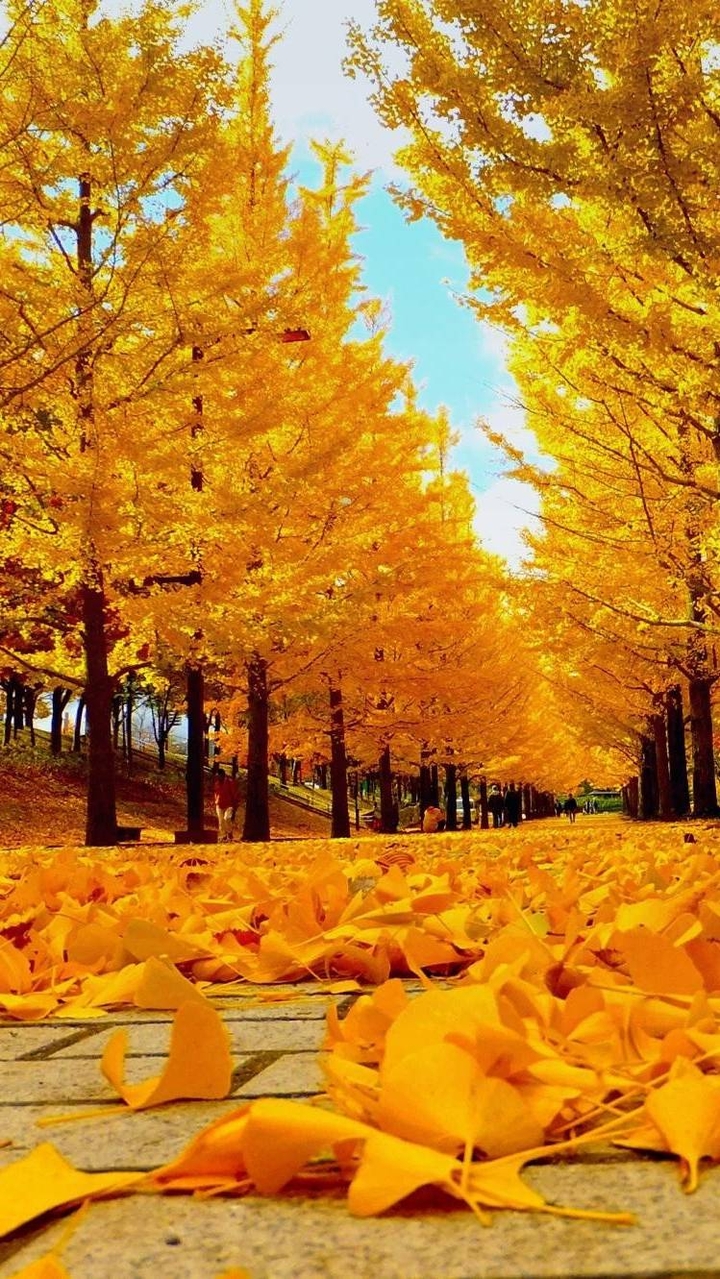 Autumn