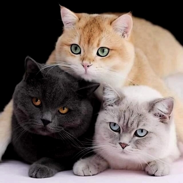 ☺️☺️☺️