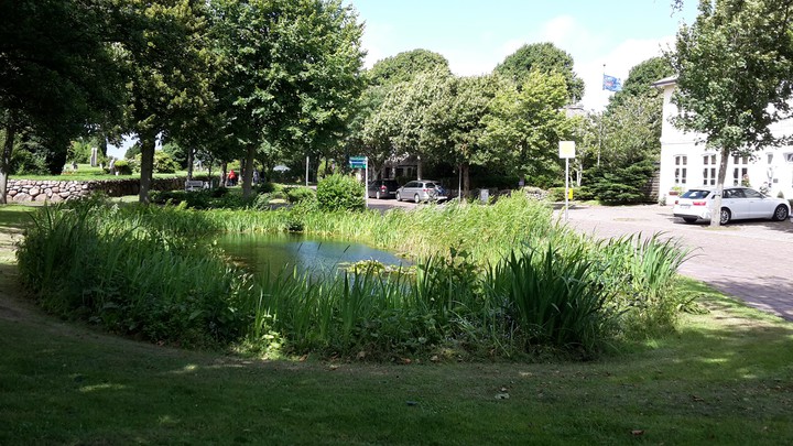 Dorfleben
