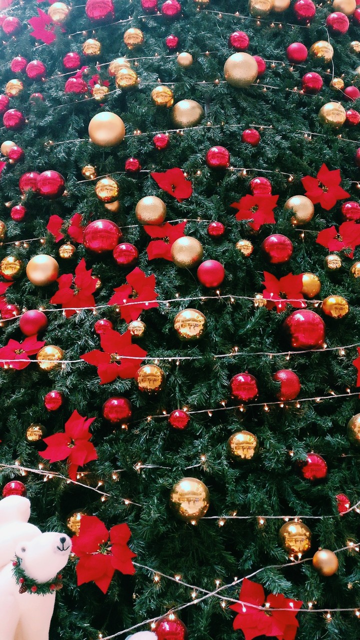 Christmas tree 