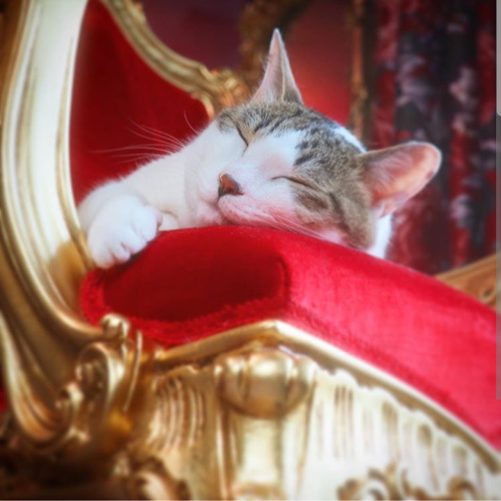 Sleepy (๑◔‿◔๑)
