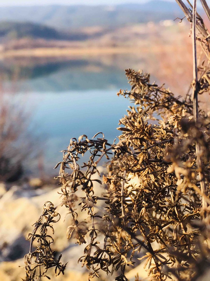 doğa