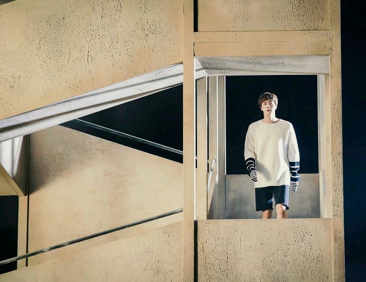SpringDayJin
