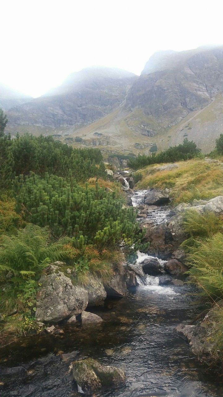mountains