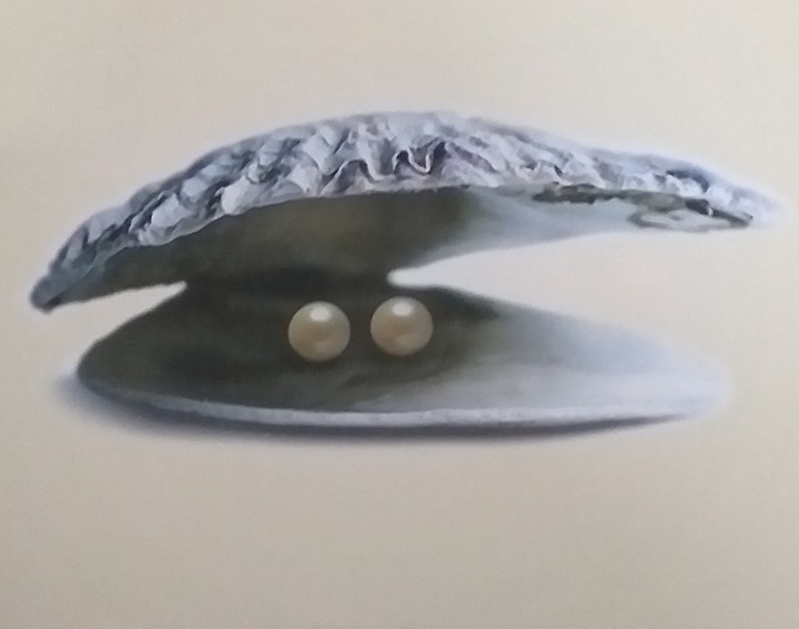 Oyster