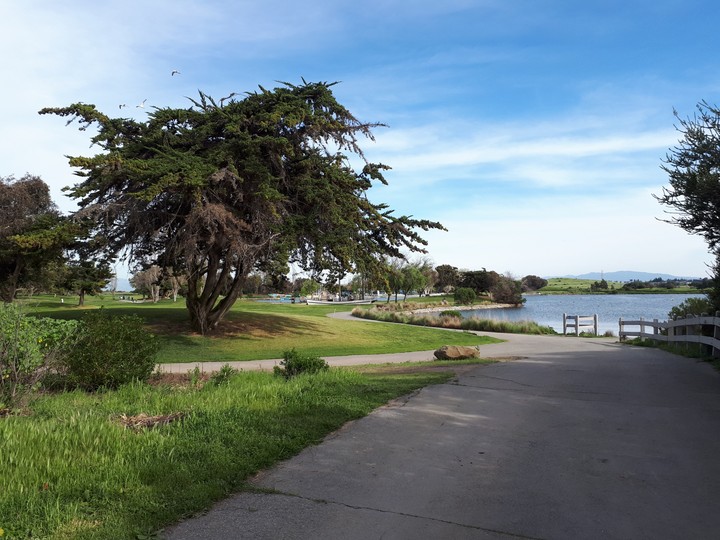 Spring in California