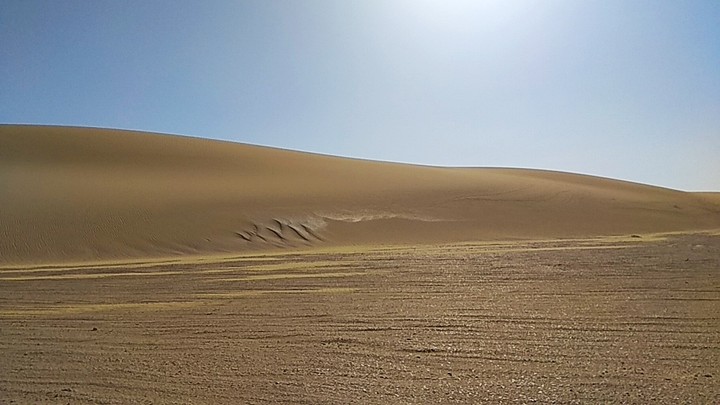 Desert