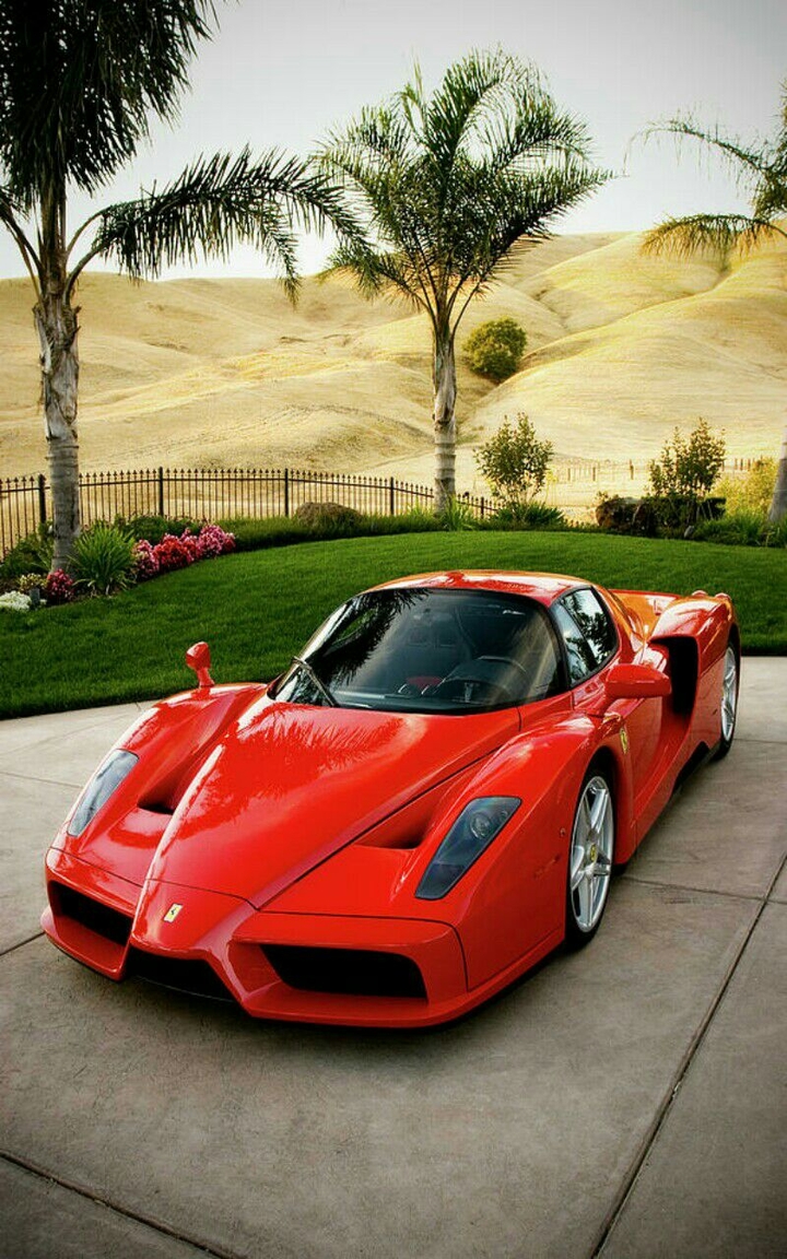Ferrari Enzo
