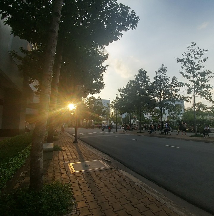 sunny afternoon 