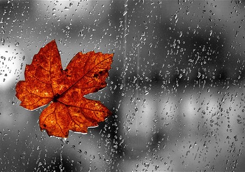 rainy day