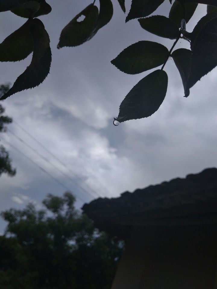 rain drop
