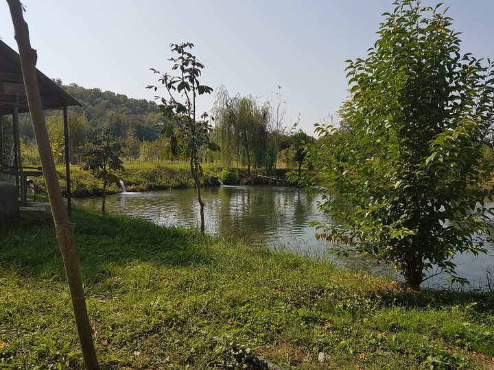 Balıq gölü