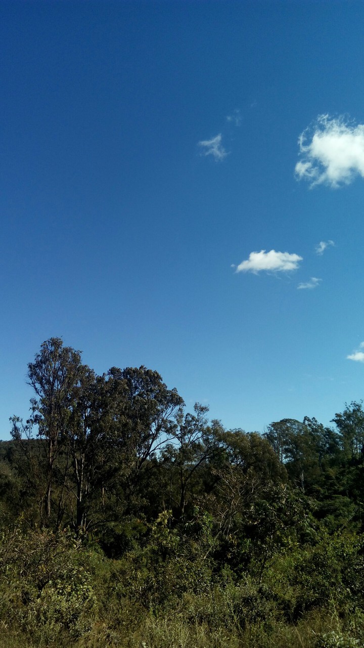 Blue Sky