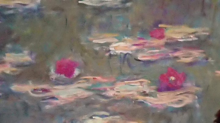 Water lilies
