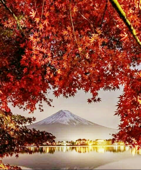 Nature