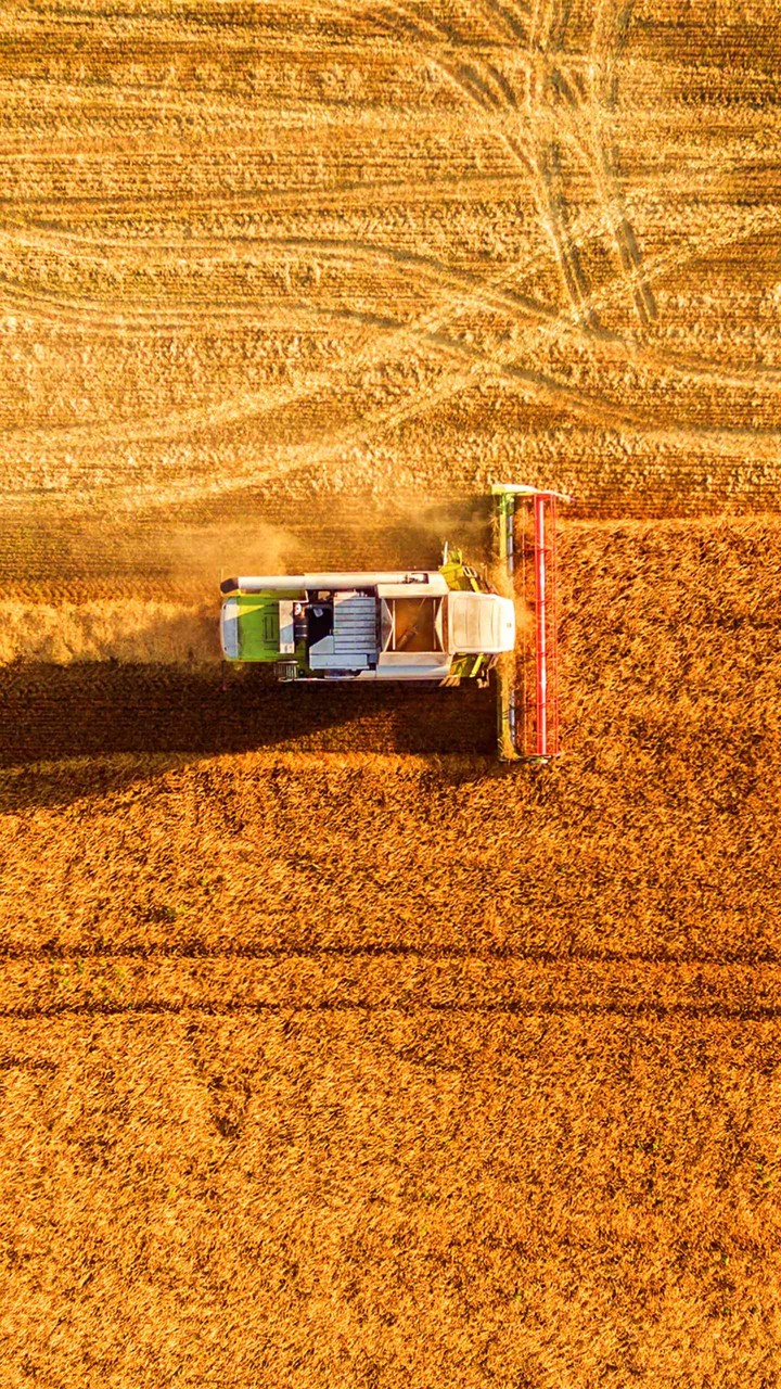 harvesting