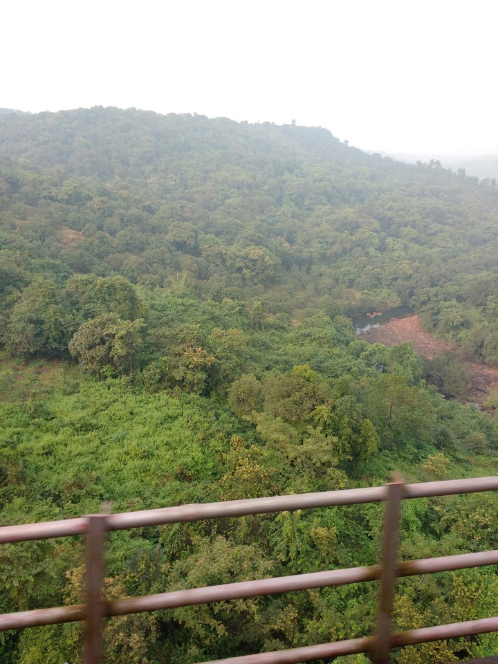 nature look from train