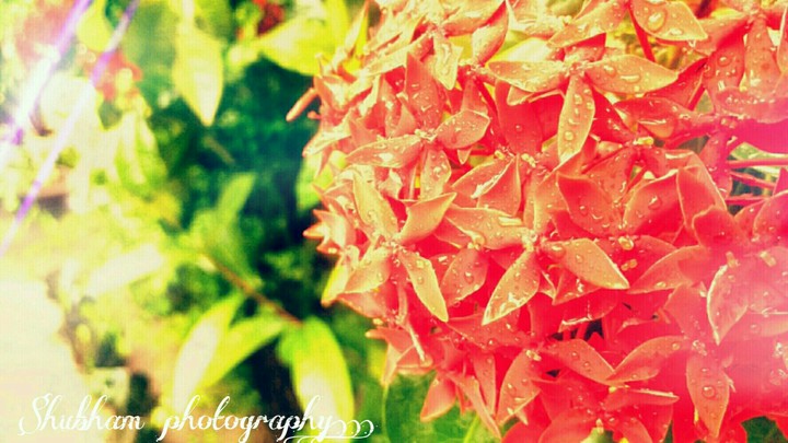 #shubham photography....