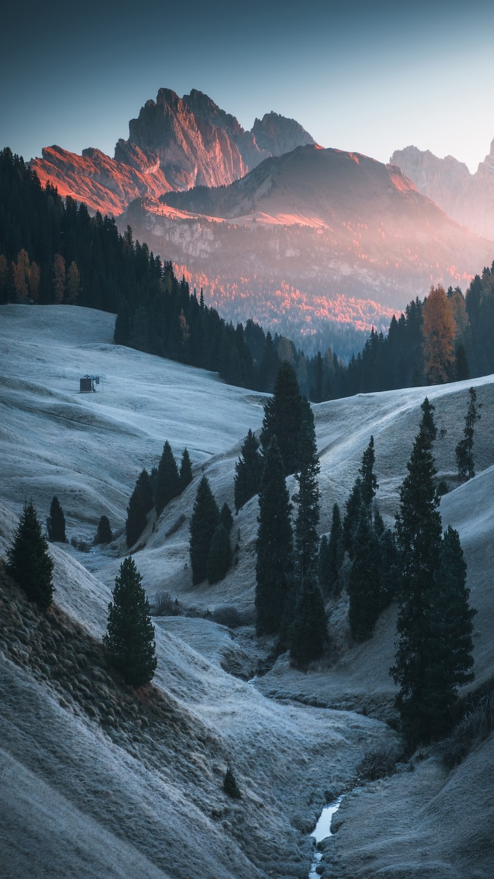 nature