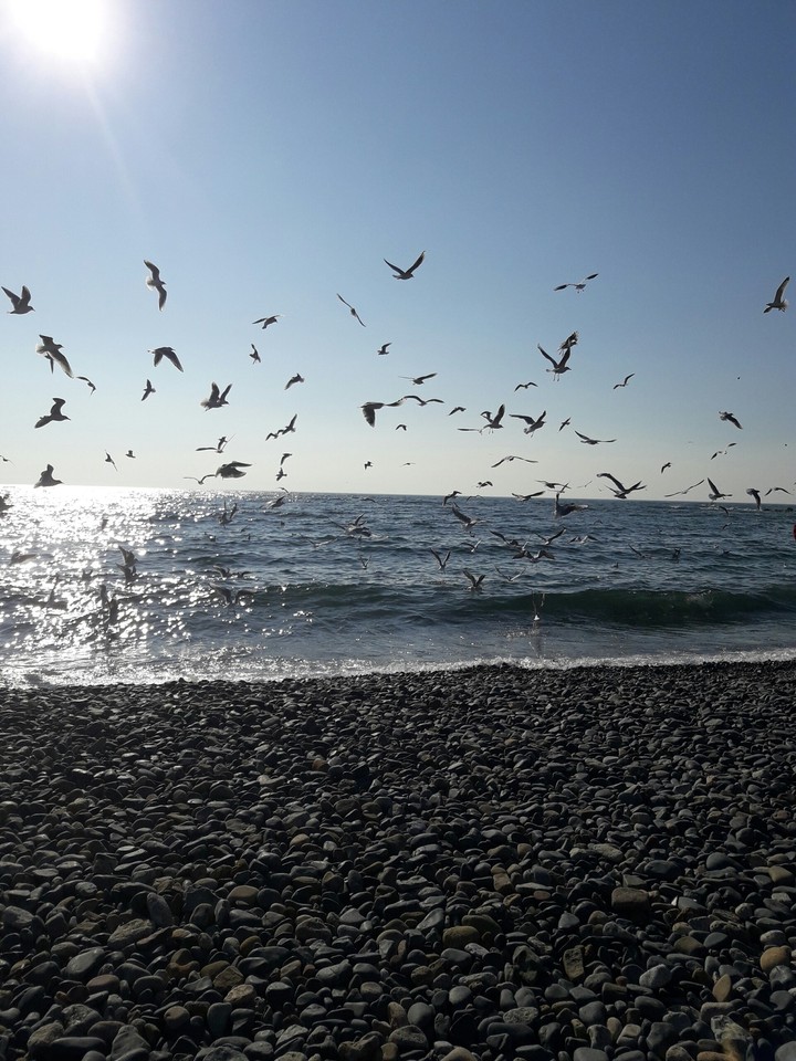 sea and sun