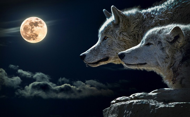 wolf moon