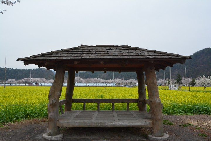 풍경이미지