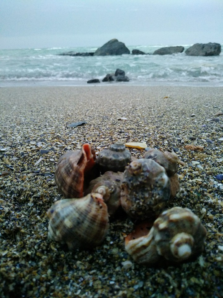 море
