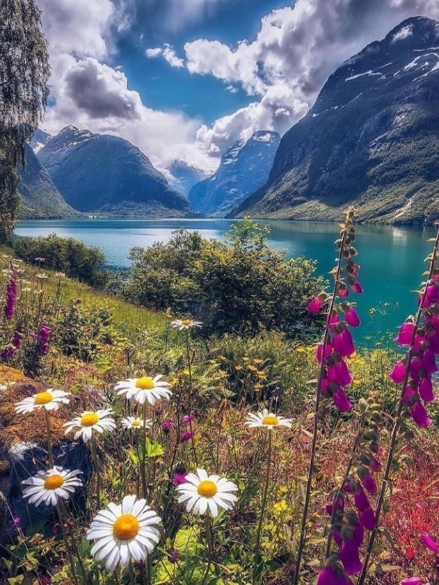 nature
