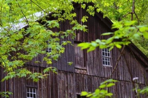 McConnell's Mill