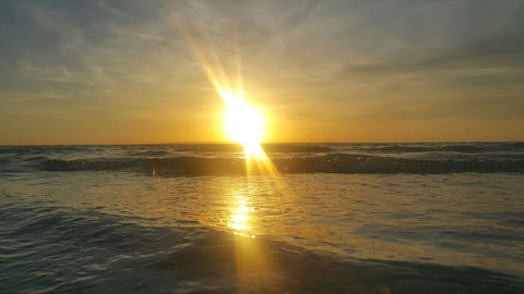 Good morning Sun. :)