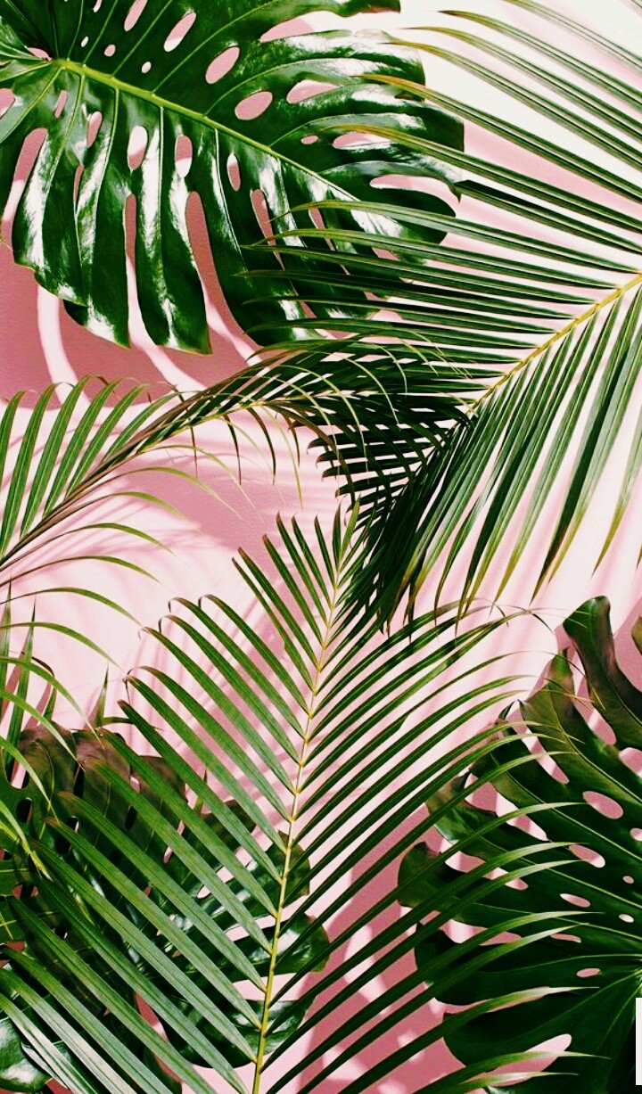 Leaf