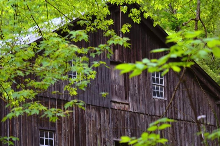 McConnell's Mill