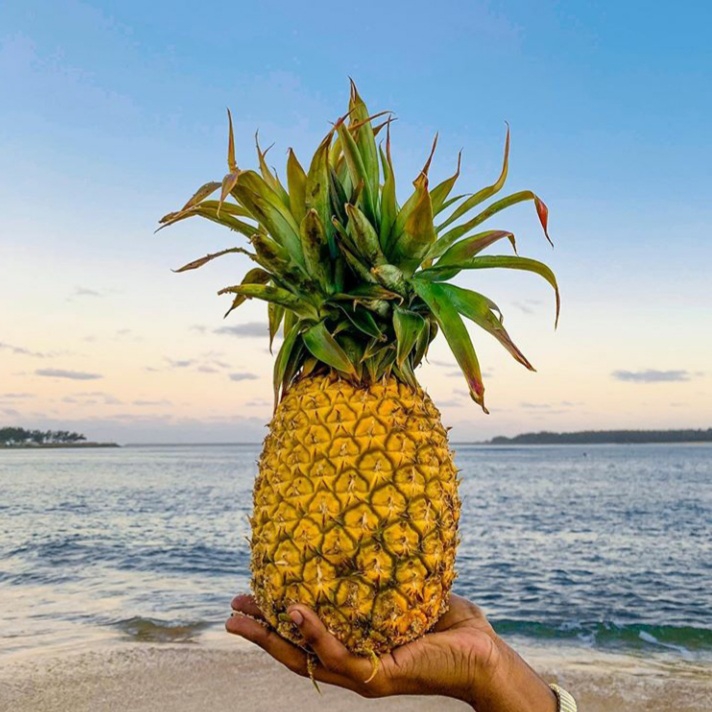 Be a Pineapple ?
