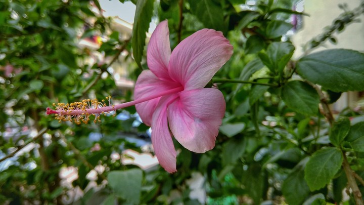 Love nature love its creation