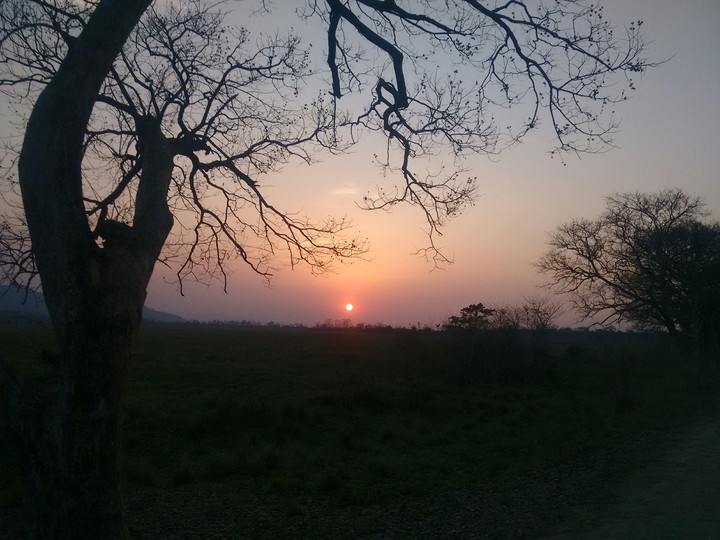 sunset
