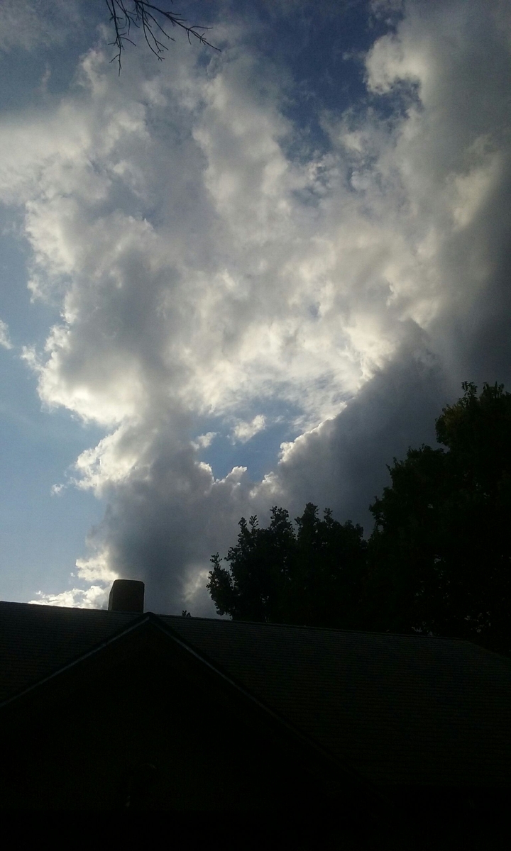SKY'S