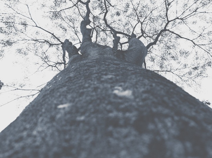 darkly