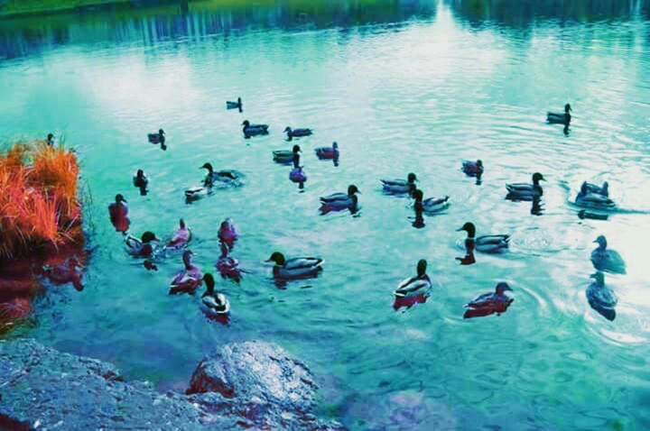 river