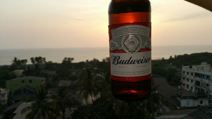 Budweiser