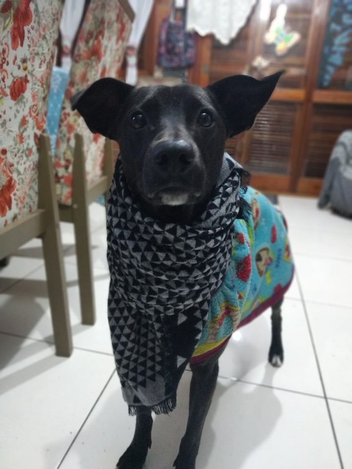 ♥️?