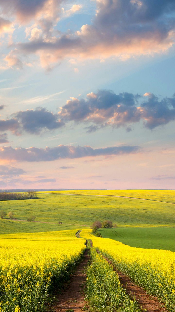 nature