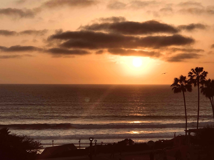Dana point beach