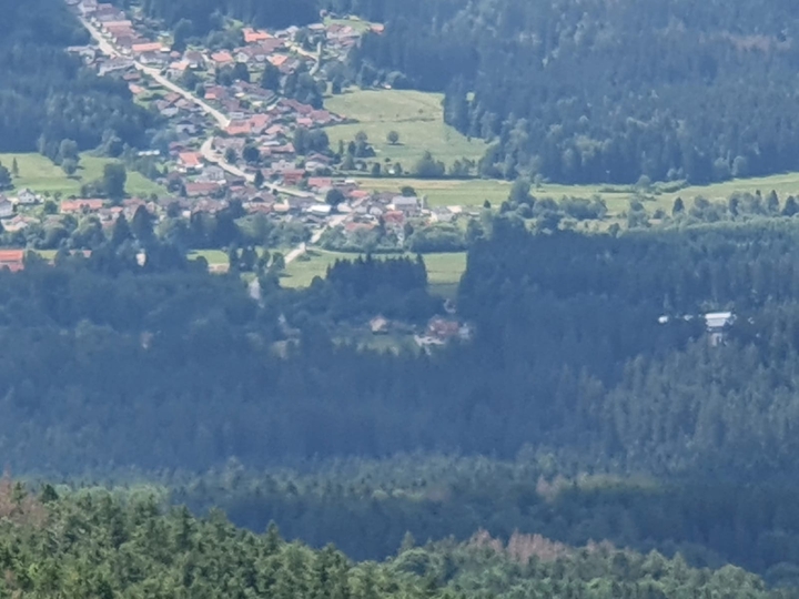 view