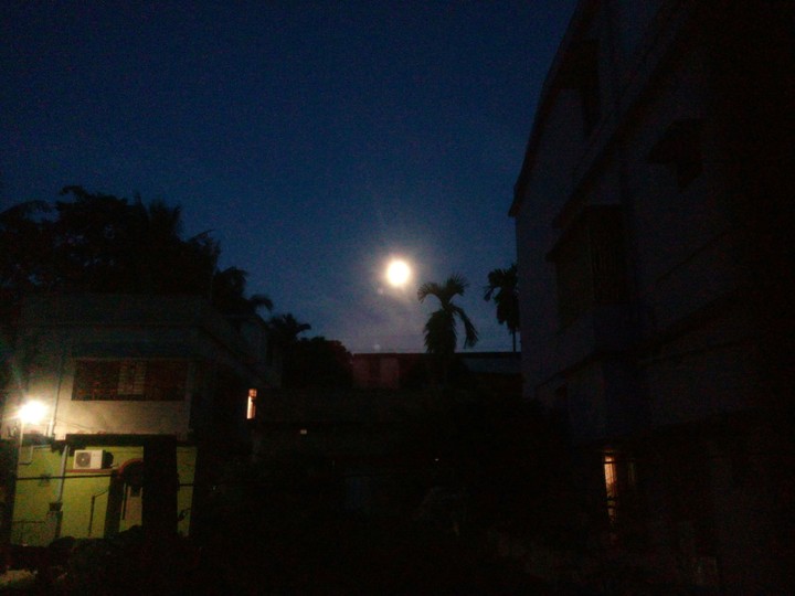 evening environment