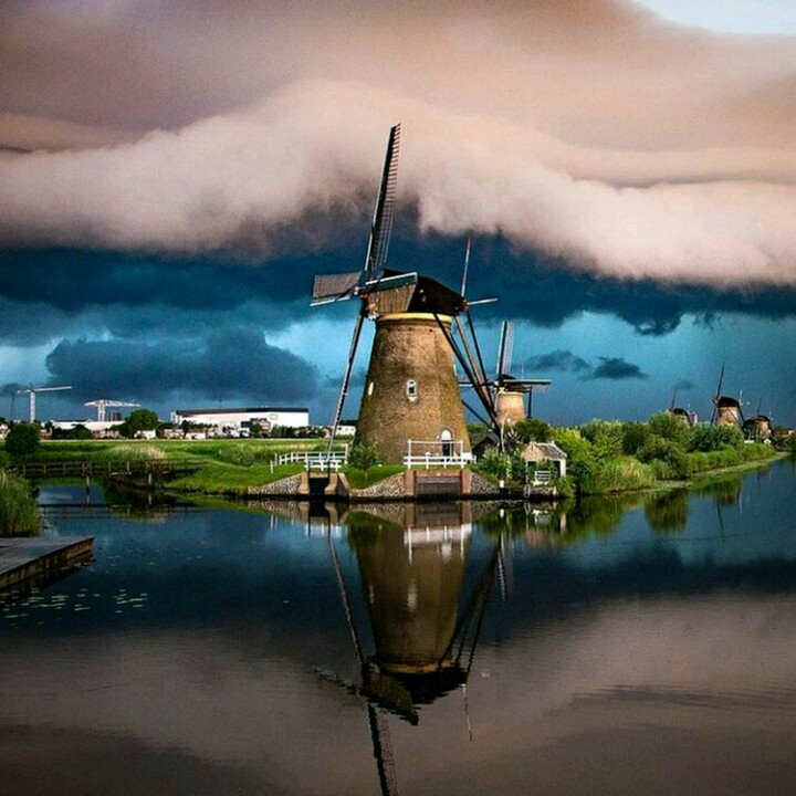 ......