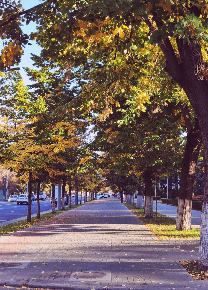 The best autumn